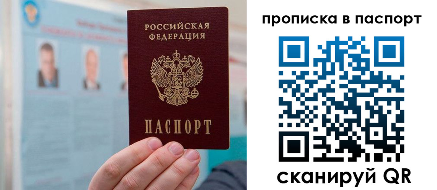прописка гарантия в Новгородской области